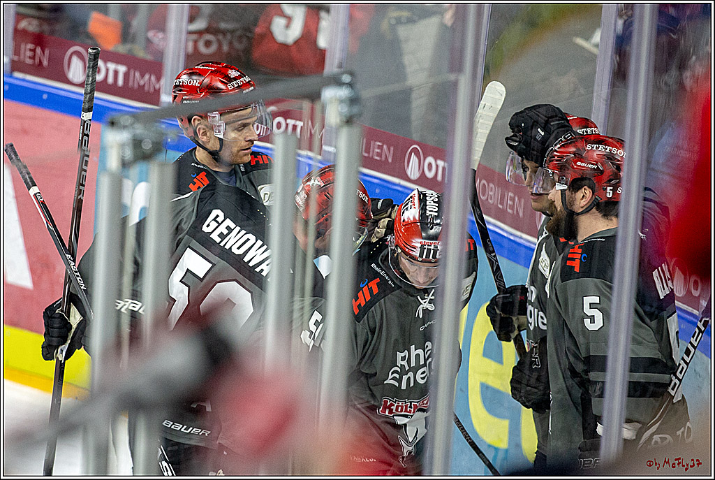 DEL; Koelner Haie - Fischtown Pinguins Bremerhaven, 06.01.2019